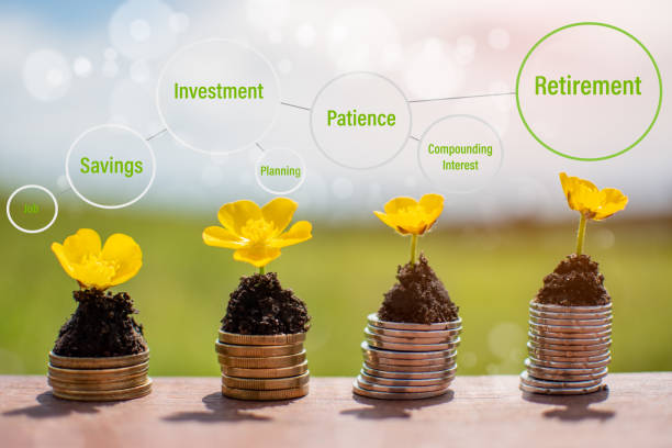 Pedrovazpaulo Real Estate Investment Portfolio: A Strategic Overview