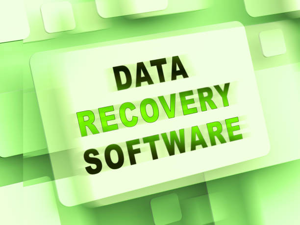 Software-Based Data Recovery Solutions